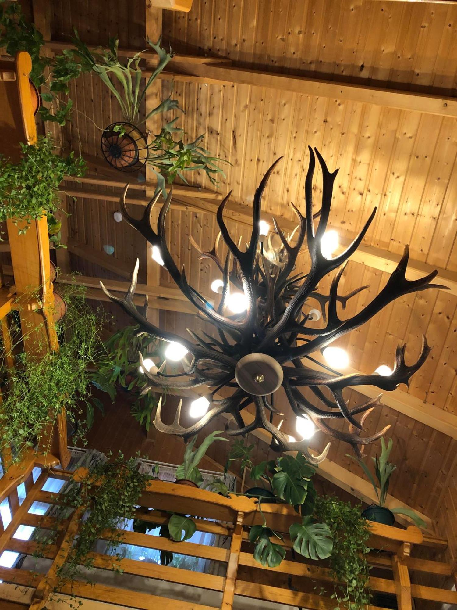 Tiszafa Vendeghaz Szentgal Otel Dış mekan fotoğraf