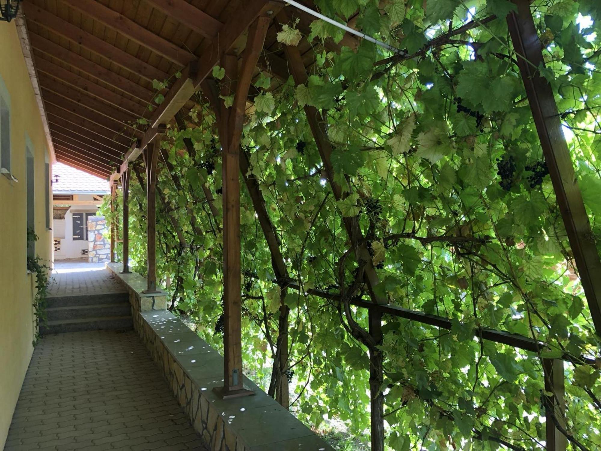 Tiszafa Vendeghaz Szentgal Otel Dış mekan fotoğraf